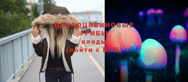сатива Арсеньев