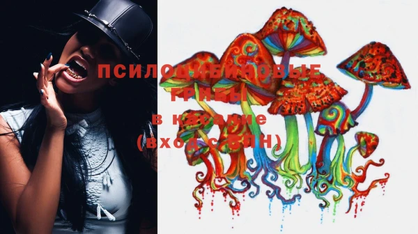 сатива Арсеньев