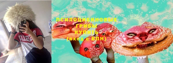 соль ск Аркадак